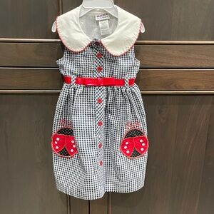 Blueberi Boulevard Gingham Dress with Red Ladybug Pockets